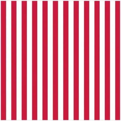 Amscan Jumbo Gift Wrapping Paper Roll - Red & White Stripe - Little Painter Art | Exploring the Endless Possibilities of Art Store
