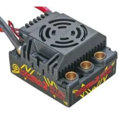 Castle Creations Mamba Monster 2 1/8th Scale Brushless ESC - Little Painter Art | Exploring the Endless Possibilities of Art Store