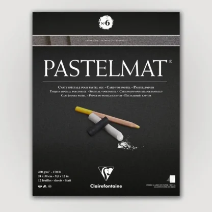 Clairefontaine Pastelmat N6 360g 24x30 antr 12 sheets - Little Painter Art | Exploring the Endless Possibilities of Art Online