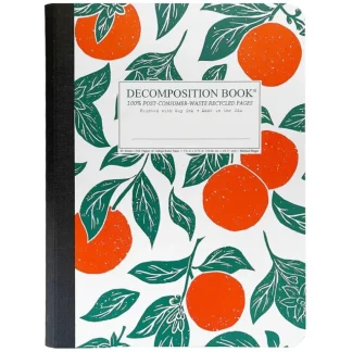 Decomposition Notebook - Oranges - Little Painter Art | Exploring the Endless Possibilities of Art New