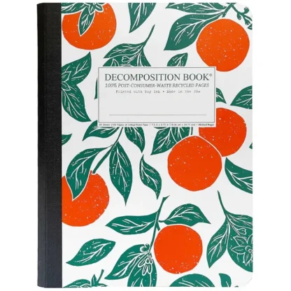 Decomposition Notebook - Oranges - Little Painter Art | Exploring the Endless Possibilities of Art New