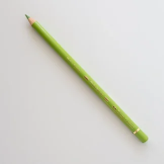 Faber-Castell Polychromos 170 May Green - Little Painter Art | Exploring the Endless Possibilities of Art Cheap