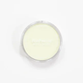 PanPastel Bright Yellow Green Tint - Little Painter Art | Exploring the Endless Possibilities of Art^ Clearance
